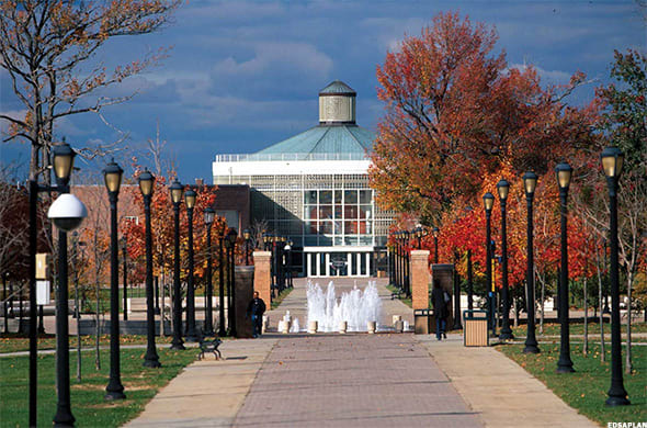 Image placeholder title