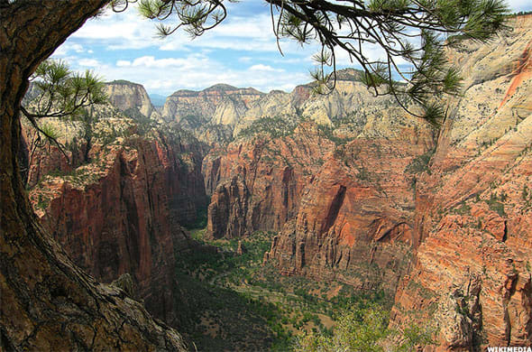 Image placeholder title