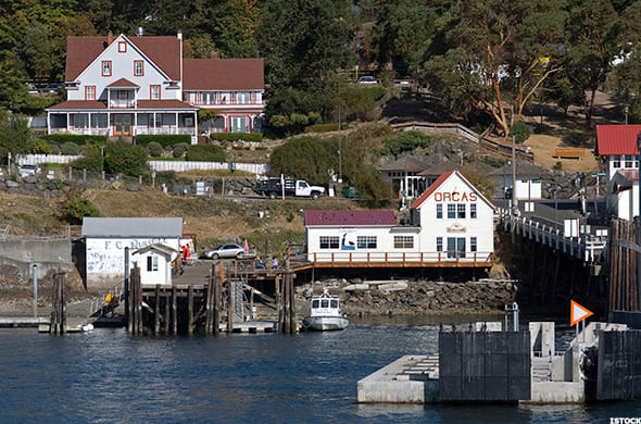 Image placeholder title