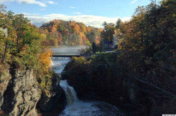 Image placeholder title