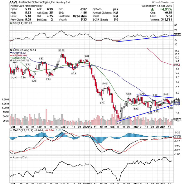 Image placeholder title