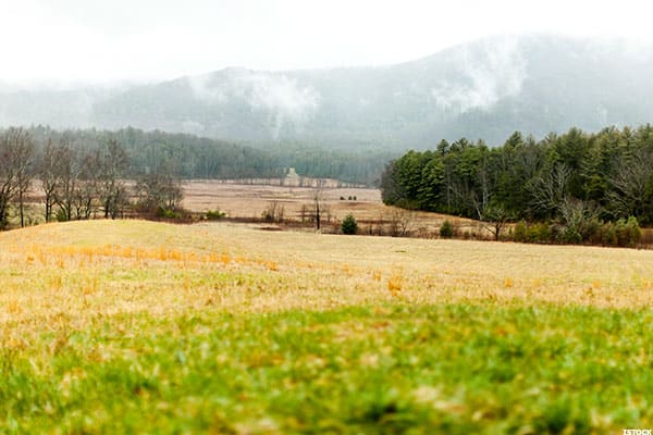 Image placeholder title