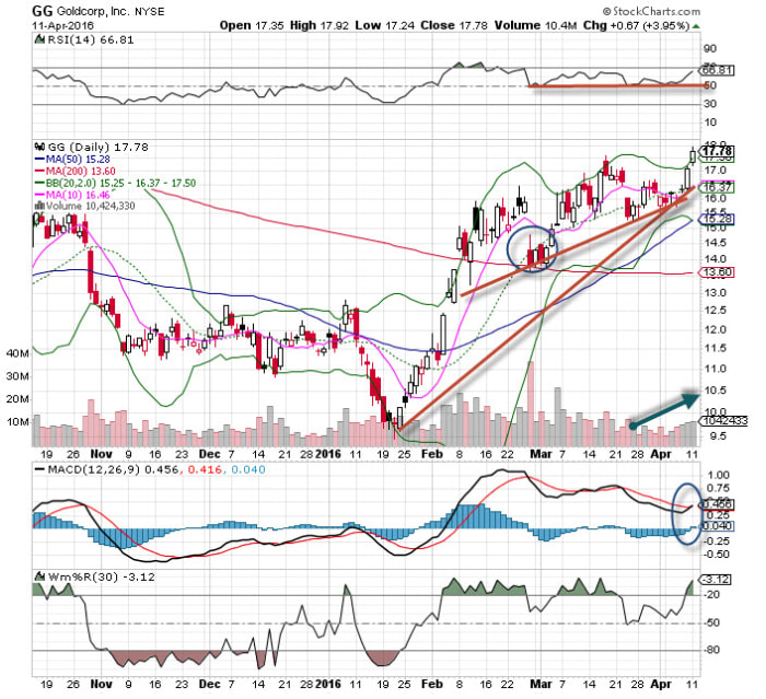 Image placeholder title