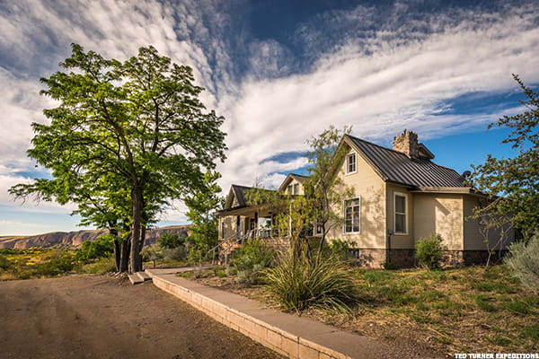 Image placeholder title