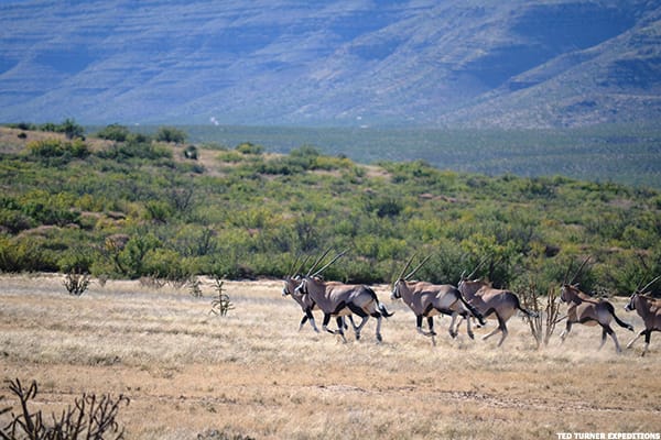 Image placeholder title