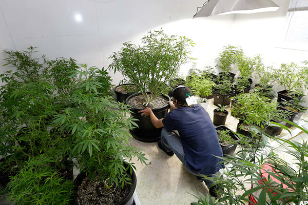 Image placeholder title