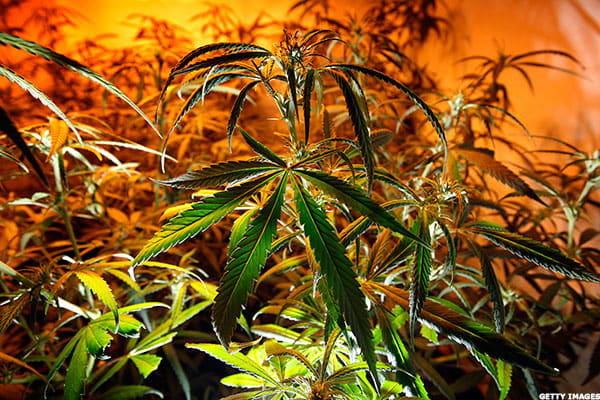 Image placeholder title