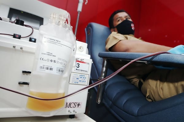 A nurse collects convalescent plasma from a recovered COVID-19 patient to help the healing process of other COVID-19 patients in Indonesia. Budiono,/ Sijori images/Barcroft Media via Getty Images