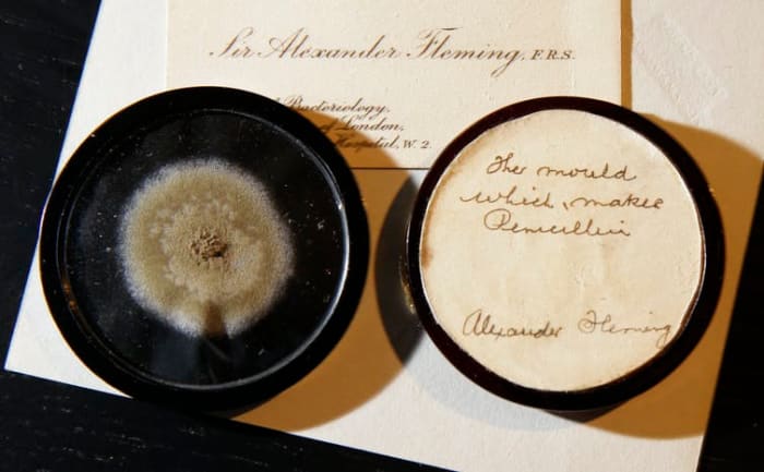 A capsule of original penicillin mold from which Alexander Fleming made the drug in 1928. AP Photo/Alastair Grant