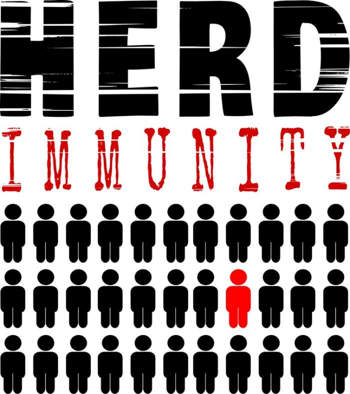 Herd immunity results when the majority of the population gains immunity to the virus either through vaccination or infection. When this happens, vulnerable people who cannot get vaccinated are protected by the ‘herd.’ smodj/iStock/Getty Images Plus