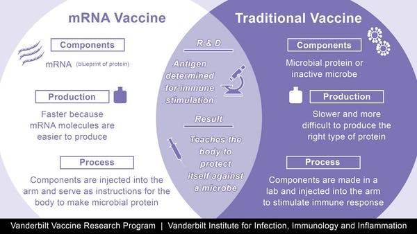 A comparison of traditional with the new mRNA vaccines. CC BY-SA