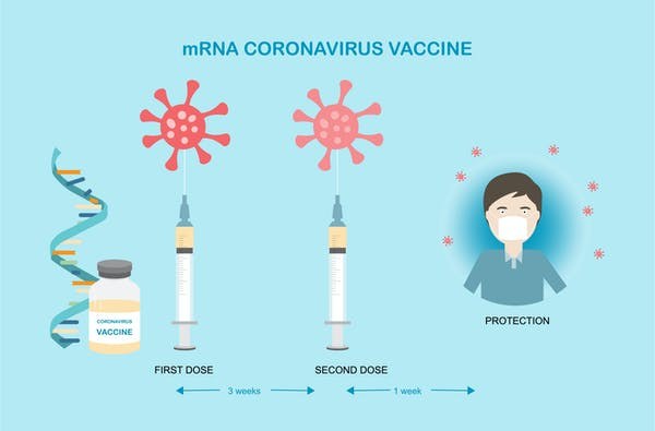 The immunization timeline for the Moderna vaccine trial. undefined undefined/iStock/Getty Images Plus