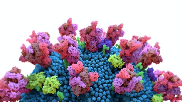 Some of the mutations of the new variant affect the all-important spike protein. Design_Cells/Shutterstock