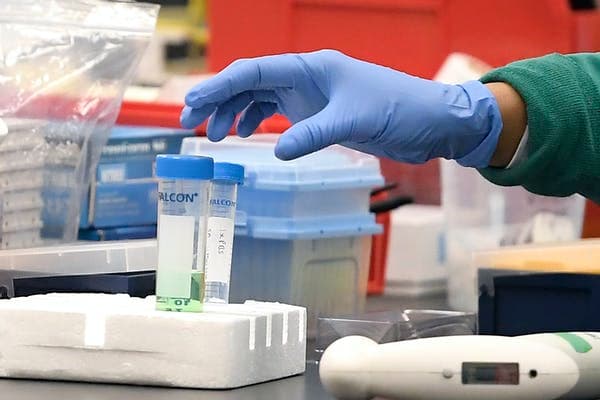 Vaccine development normally takes around 10 years. AP Photo/Jessica Hill, File
