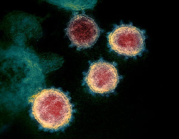 Vaccines prevent disease, not infection. National Institute of Allergy and Infectious Diseases, CC BY