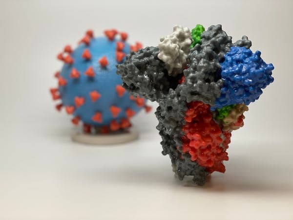 An enlarged 3D model of a single spike protein in the foreground; in the rear is a model of a SARS-CoV-2 virus covered with many of these spike proteins. NIH, CC BY