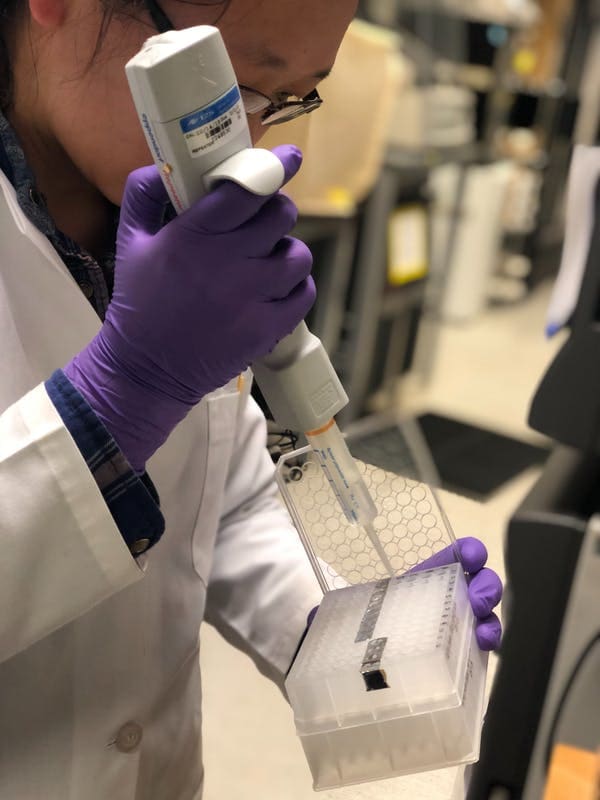 With dozens of drugs each needing full testing, to get results in four weeks required round-the-clock effort. Quantitative Biosciences Institute, CC BY-ND