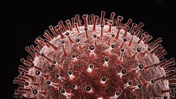 Coronaviruses are a large family of viruses, ranging from the common cold to more severe diseases, including the novel coronavirus and SARS. Getty Images / xia yuan