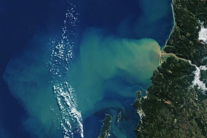 After an atmospheric river event that caused severe flooding in Chile, sediment washed down from hillsides into the Itata River can be seen flowing up to 50 kilometers from the coast. NASA Earth Observatory