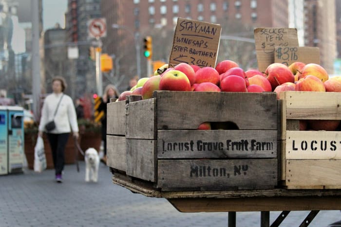 New York apples  Dan Jardine : Shutterstock