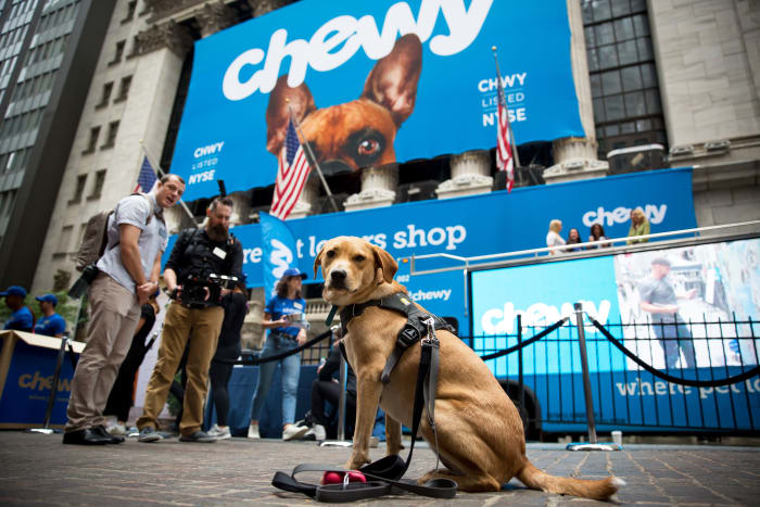 Figure 2: E-commerce pet retailer Chewy, today has a market cap of $13.34 billion.
