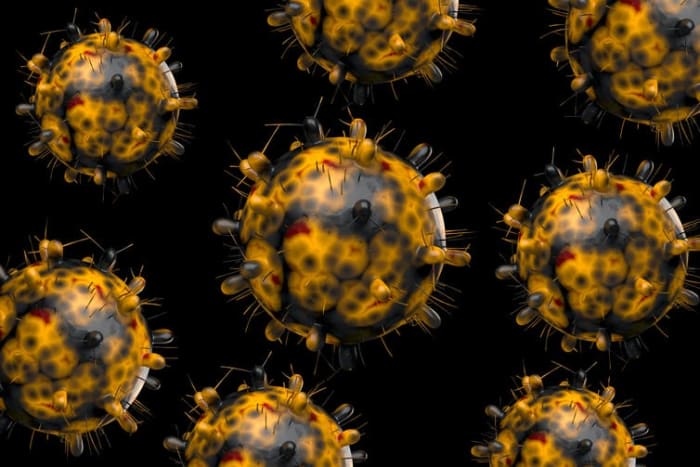 Omicron contains a large number of mutations and is much more transmissible than earlier variants of the SARS-CoV-2 virus. Uma Shankar sharma/Moment via Getty Images