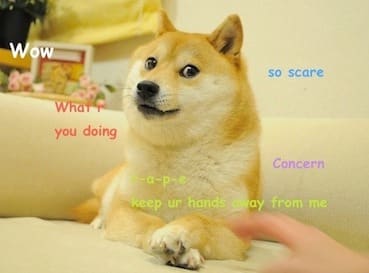 https://en.wikipedia.org/wiki/Doge_(meme)#/media/File:Original_Doge_meme.jpg