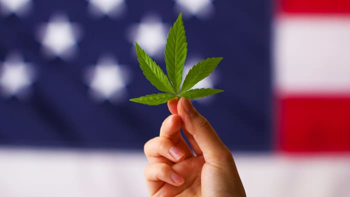 Cannabis Weed Marijuana Federal Lead