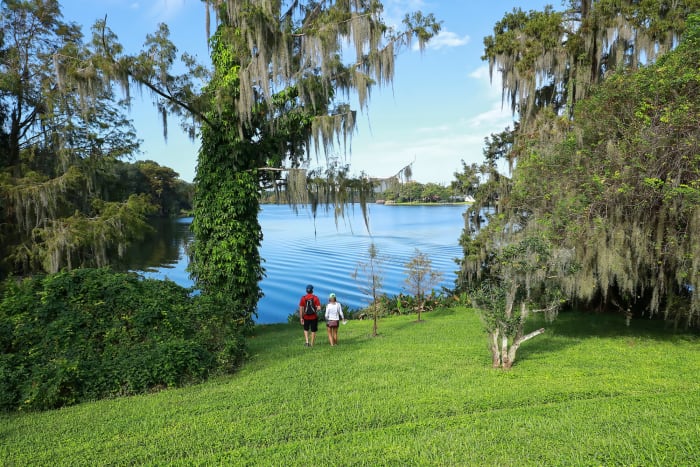 23. Harry P. Leu Gardens Orlando sh