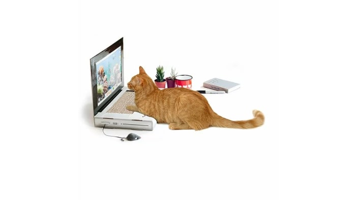 Tapis à gratter pour chat pour ordinateur portable