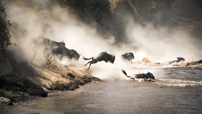 4 maasai mara reserve kenya