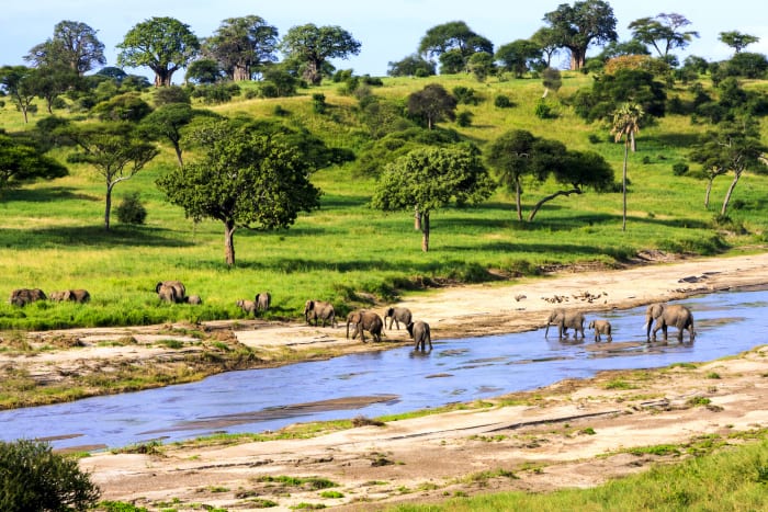 3 serengeti np tanzania sh