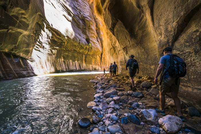 25 Zion np Checubus : Shutterstock