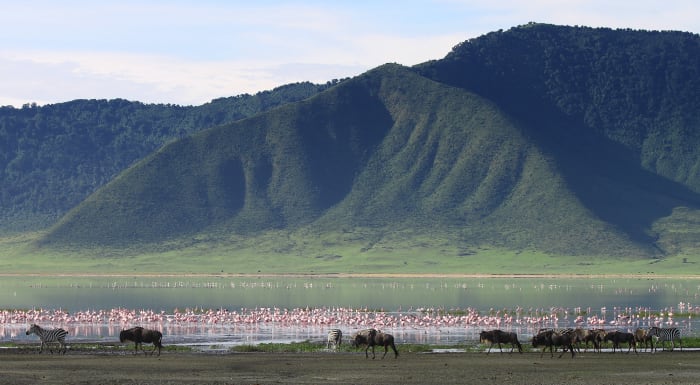 17. Ngorongoro Conservation Area, Tansania shs