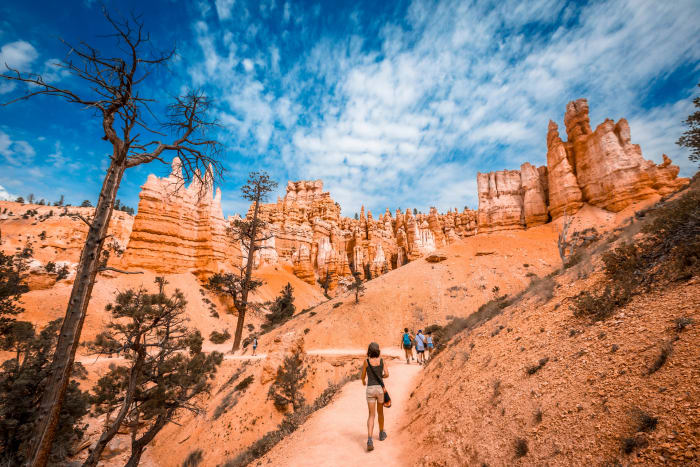 21 bryce canyon np queens garden utah sh