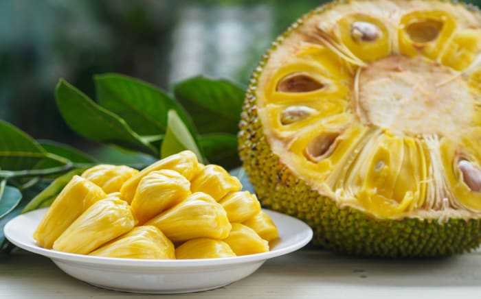 22 jackfruit sh