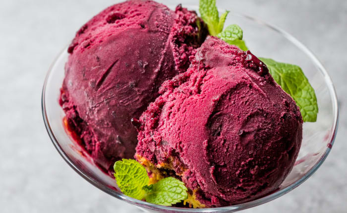 24 non dairy sorbet dessert sh