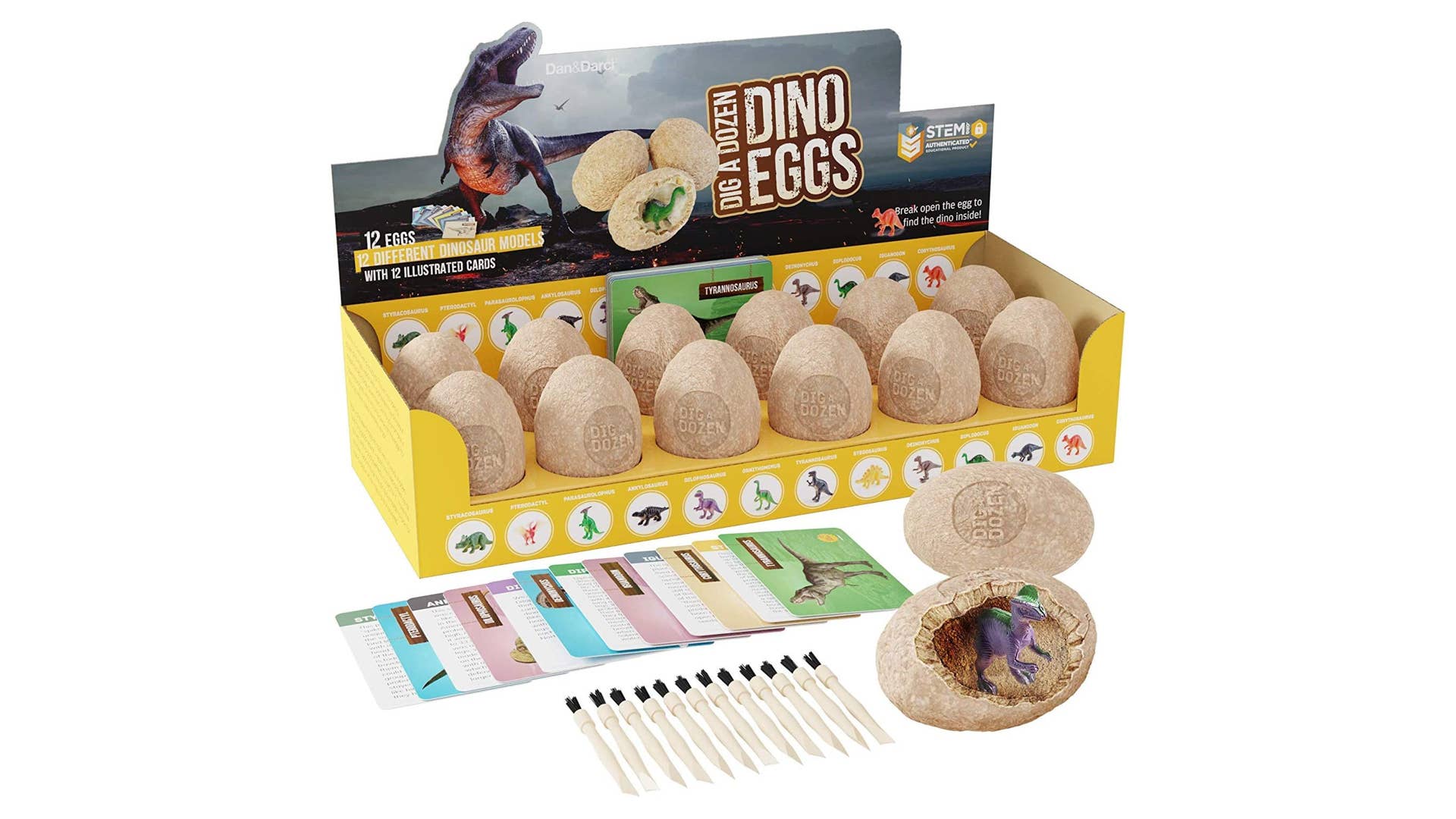 Cava una docena de juegos de excavación de huevos de dinosaurio.