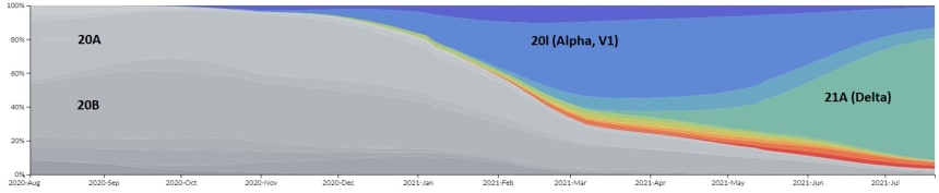 Note. Frequencies of viral clades of SARS-CoV-2, Aug 2020-Aug 2021 Source: NextStrain; DifferenceGroup.
