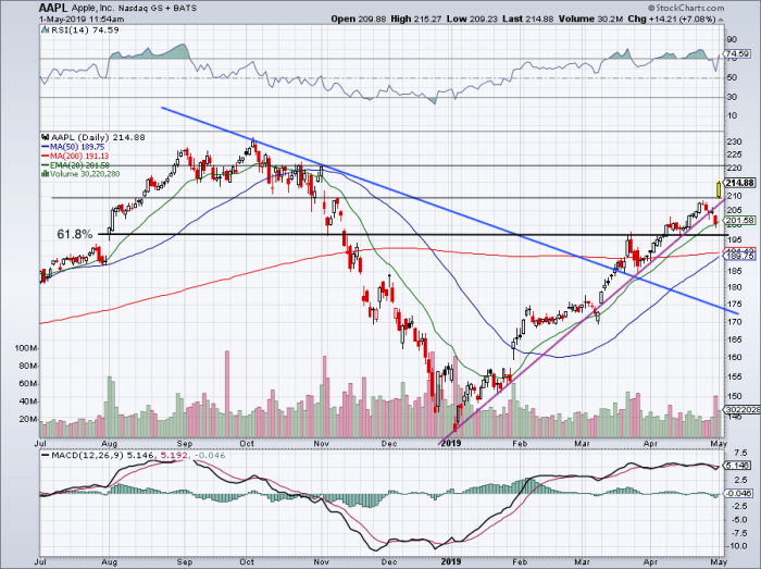 Daily chart of Apple stock.