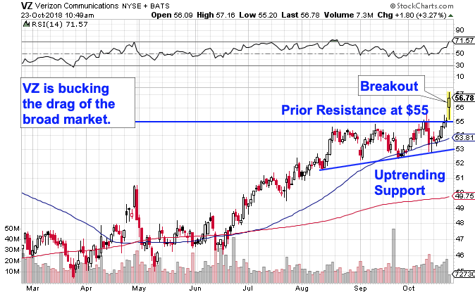 Image placeholder title