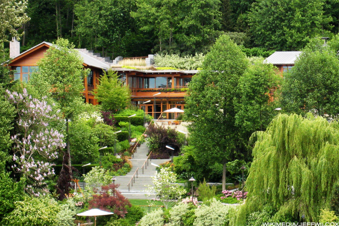 Image placeholder title