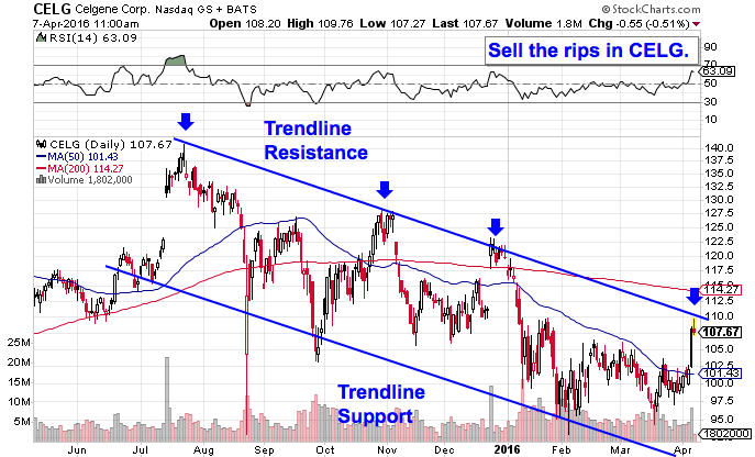 Image placeholder title