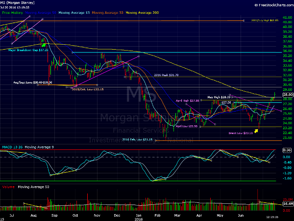 Image placeholder title