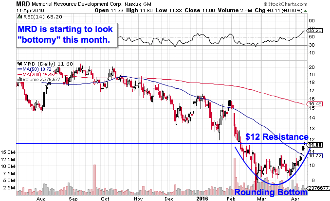 Image placeholder title