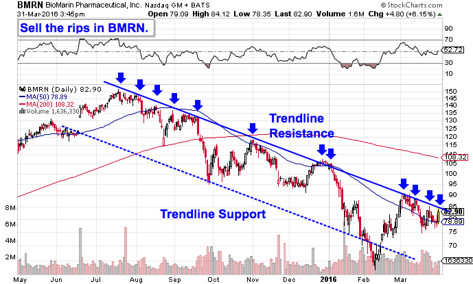 Image placeholder title