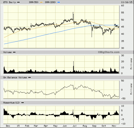 Image placeholder title