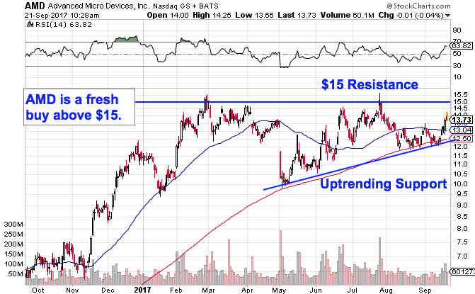 Image placeholder title