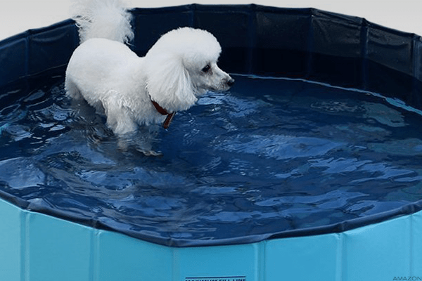 Image placeholder title