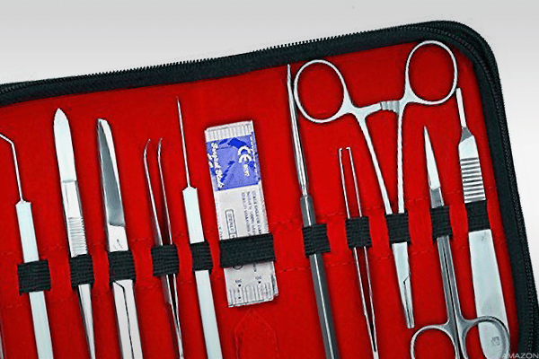 Image placeholder title